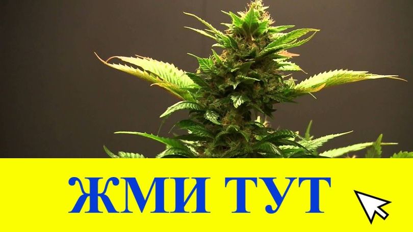 Купить наркотики в Туймазы